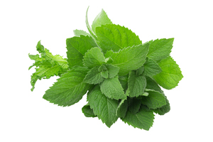 Peppermint Oil